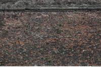 photo texture of wall brick overgrown 0007